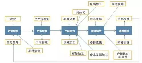 互聯(lián)網(wǎng)農(nóng)業(yè) 物聯(lián)網(wǎng)技術(shù)服務(wù)帶來的務(wù)農(nóng)新體驗(yàn)